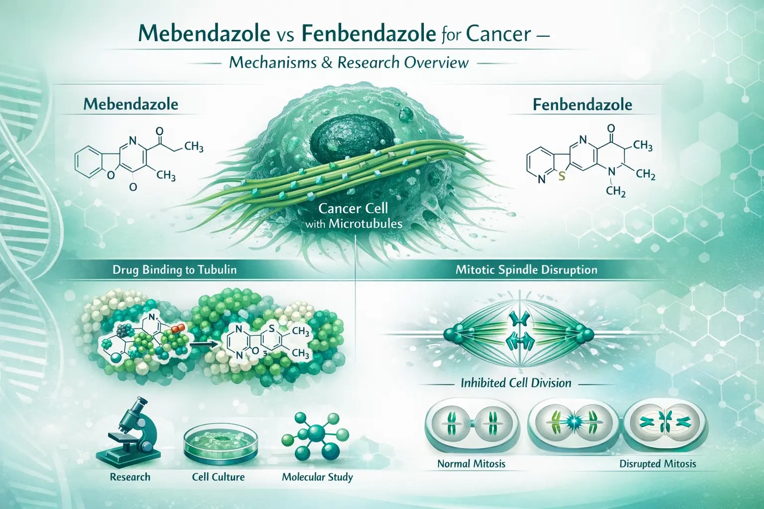 mebendazole vs fenbendazole cancer mechanism diagram
