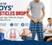 male-puberty-average-age-testicles