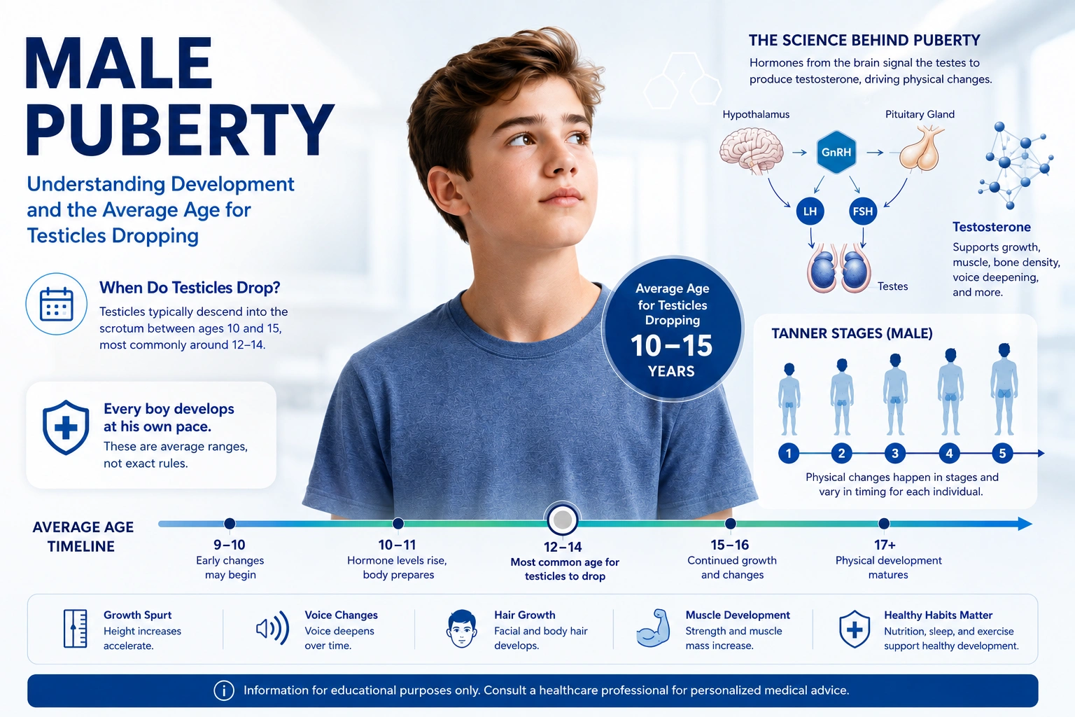 average age for balls to drop male puberty medical guide