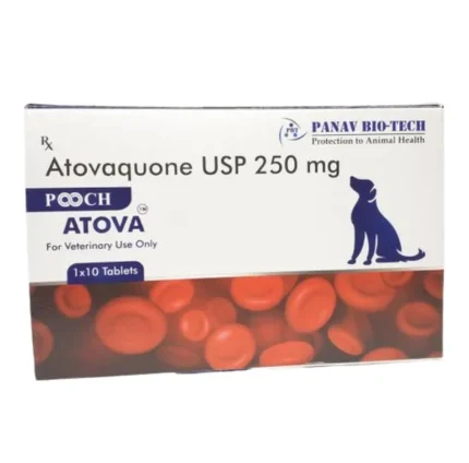Panav Biotech Pooch Atova (Atovaquone) 250mg for Dogs (pack of 10 tablets)