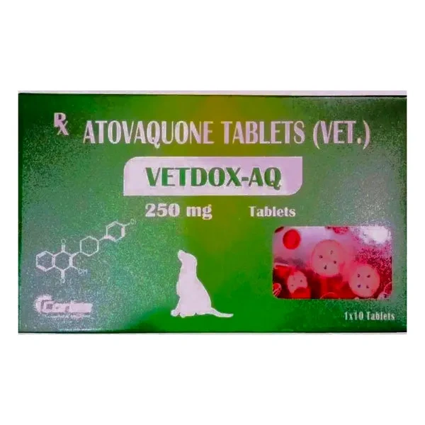 ph-2024-09-09T180610.154_600x (1) Corise Vetdox AQ 250mg Tablets (Atovaquone) for Dogs and Cats