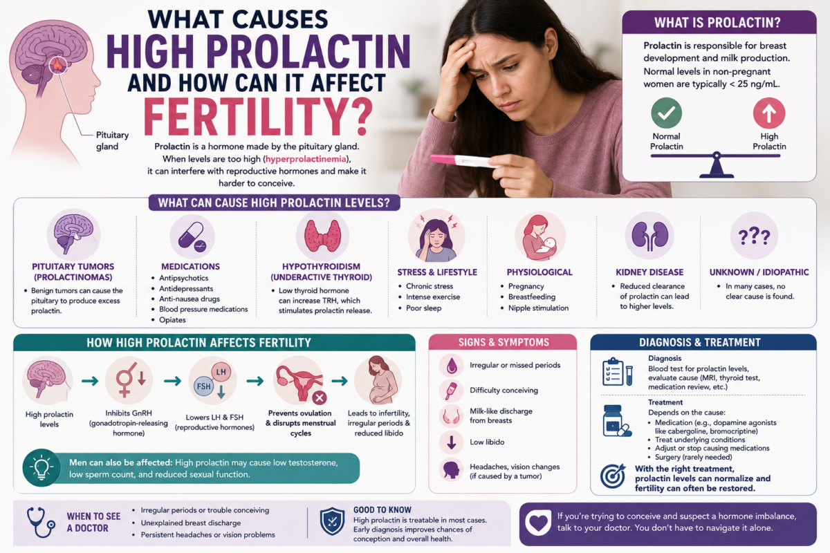 High Prolactin